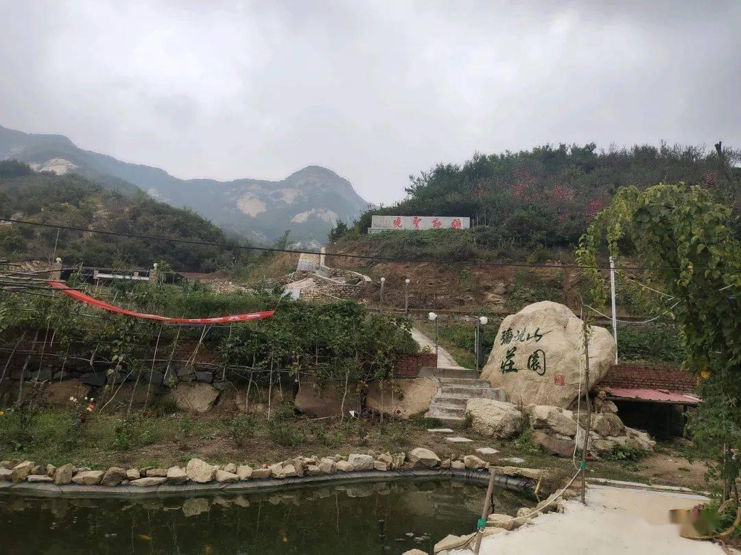 蛋糕物语